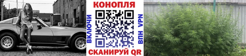 Какие есть наркотики Магадан Канабис COCAIN Меф