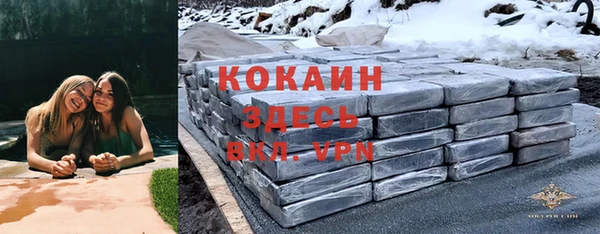 спайс Алзамай
