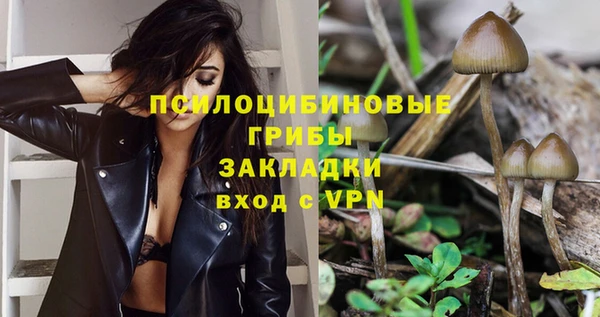спайс Абаза
