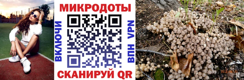 Псилоцибиновые грибы мухоморы  купить  цена  Магадан 