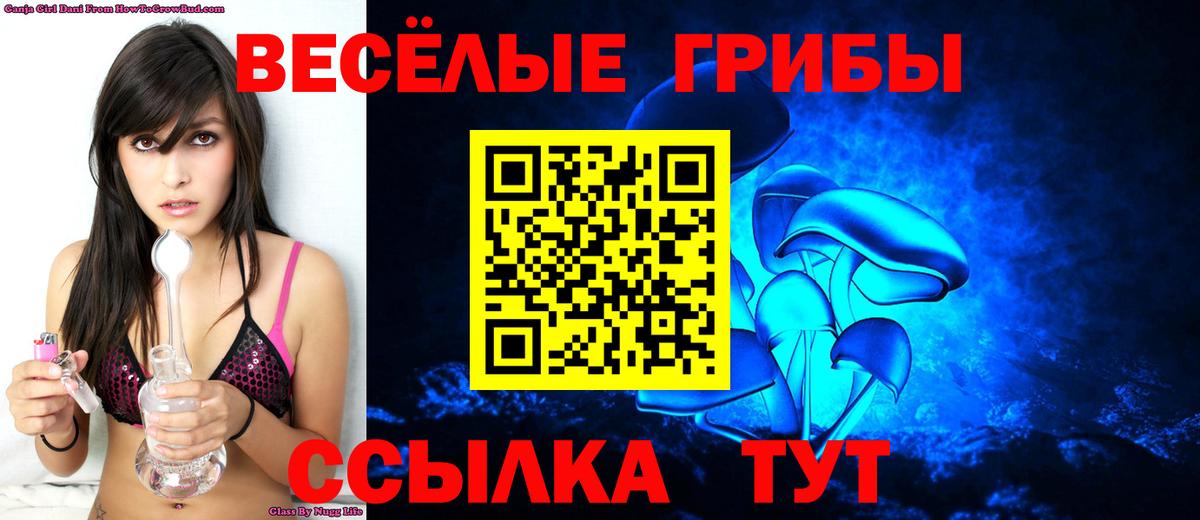 Галлюциногенные грибы Cubensis Магадан