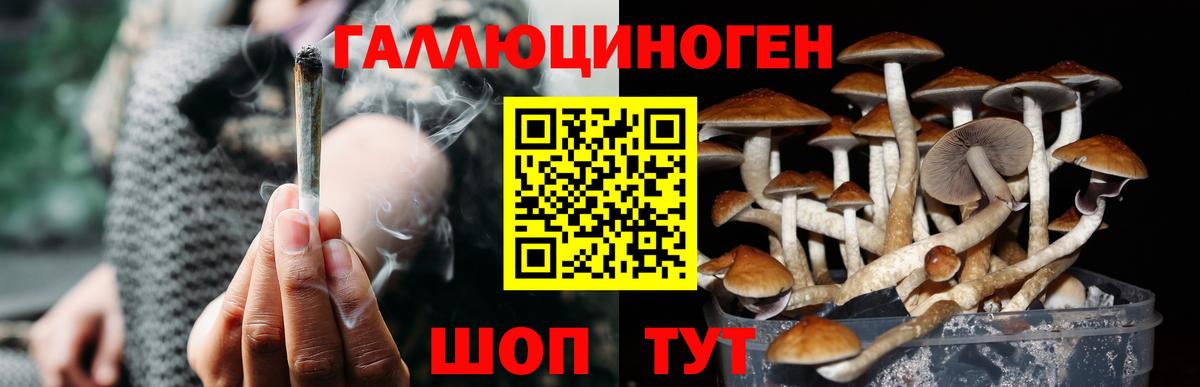 Псилоцибиновые грибы Psilocybine cubensis  Псилоцибиновые грибы прущие грибы  Вход с VPN  сколько стоит  Магадан 